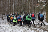 Salamandra Ultra Trail